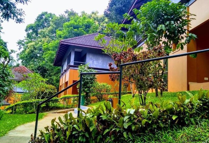 酒店 Abad Green Forest Thekkady