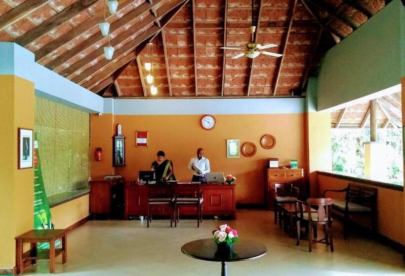 酒店 Abad Green Forest Thekkady