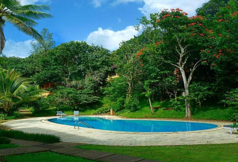 酒店 Abad Green Forest Thekkady