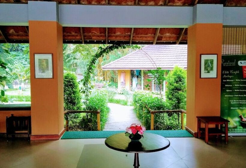 酒店 Abad Green Forest Thekkady