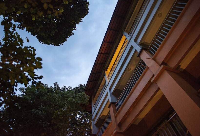 酒店 Abad Green Forest Thekkady