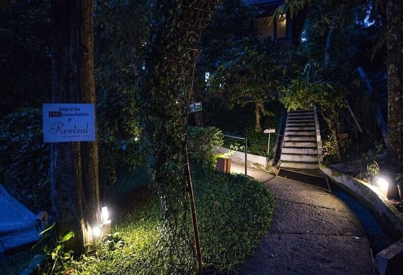 酒店 Abad Green Forest Thekkady