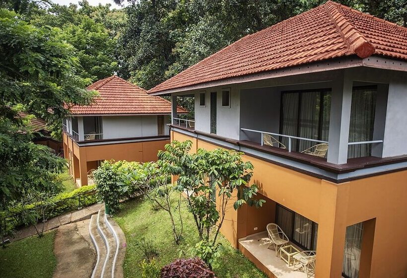 酒店 Abad Green Forest Thekkady