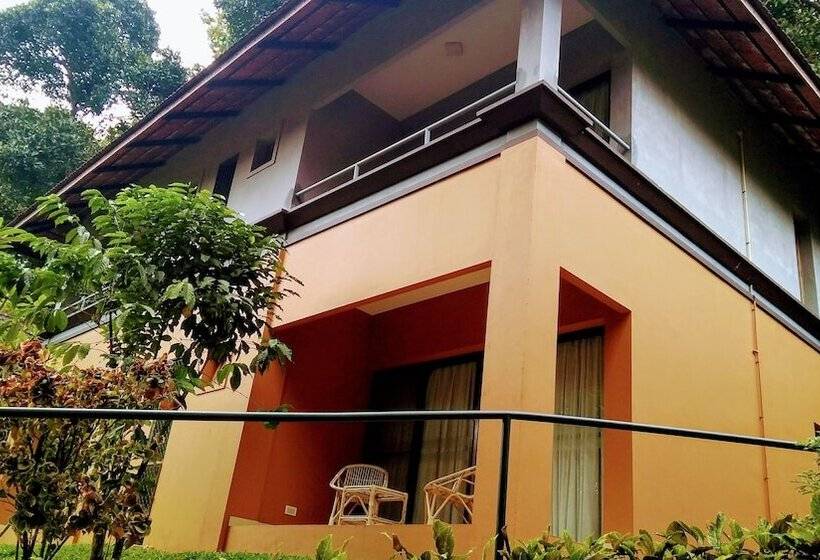 酒店 Abad Green Forest Thekkady