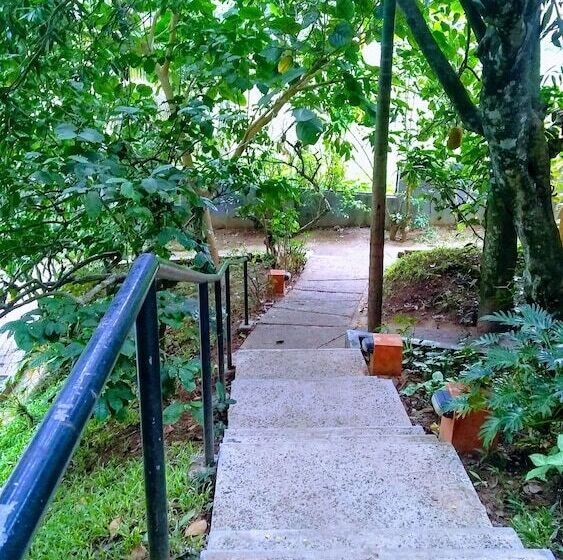 酒店 Abad Green Forest Thekkady