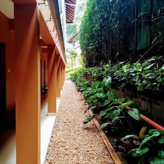 酒店 Abad Green Forest Thekkady