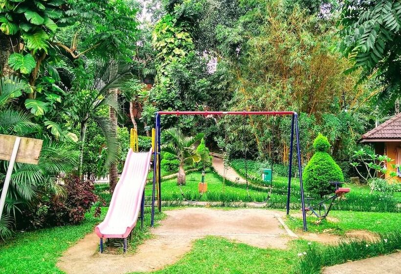 酒店 Abad Green Forest Thekkady