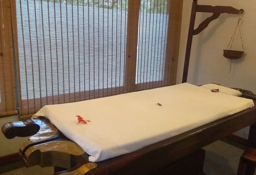 酒店 Abad Green Forest Thekkady