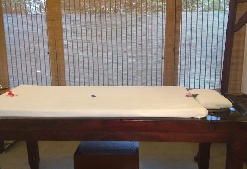 酒店 Abad Green Forest Thekkady