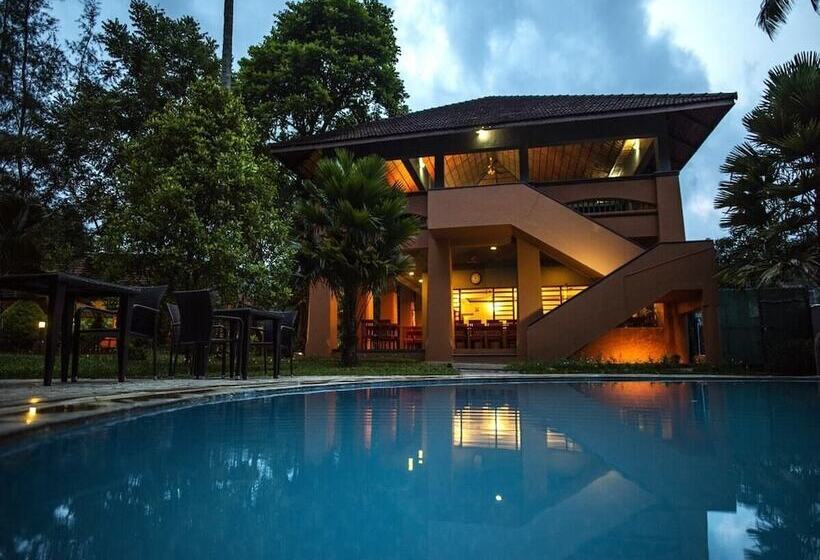 酒店 Abad Green Forest Thekkady