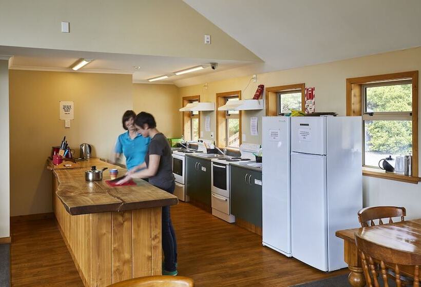 هتل Aoraki Mount Cook Alpine Lodge