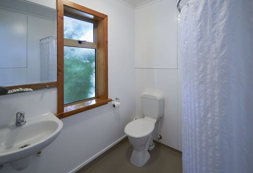 هتل Aoraki Mount Cook Alpine Lodge