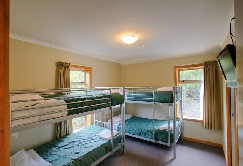 هتل Aoraki Mount Cook Alpine Lodge