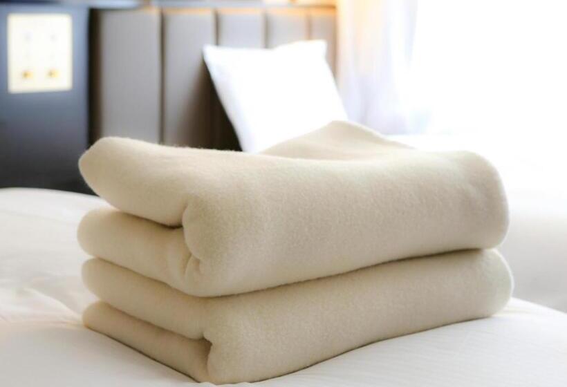 Apa Hotel Kanku Kishiwada