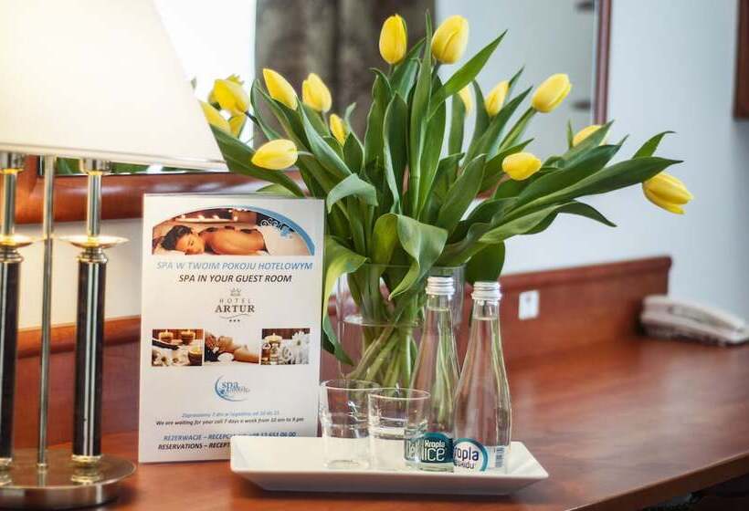 בית מלון כפרי Artur