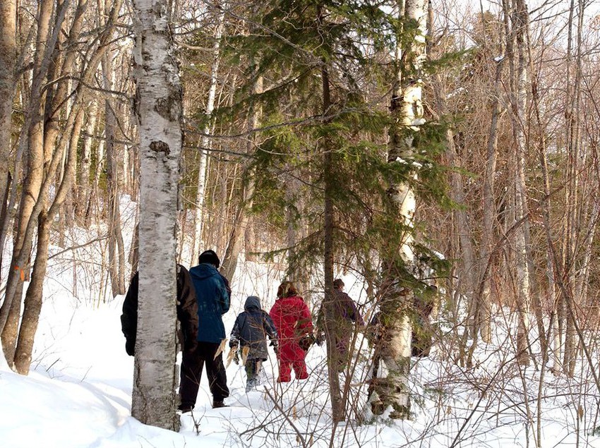 Отель Villégiature Matawinie