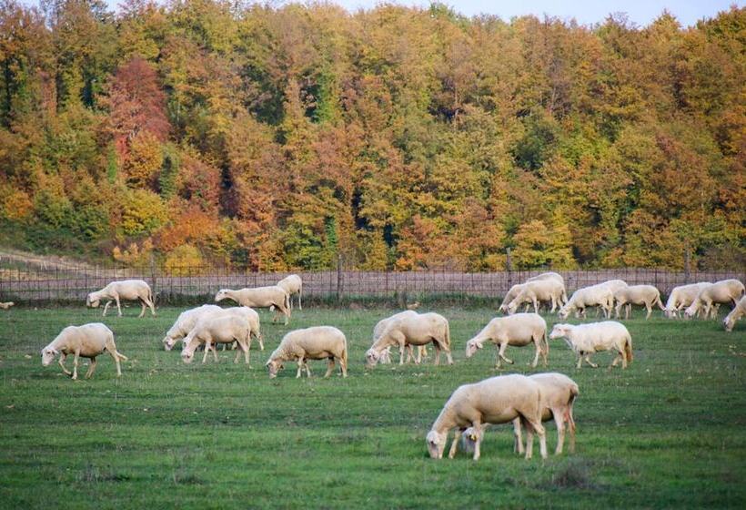 בית מלון כפרי Borgo Santo Pietro