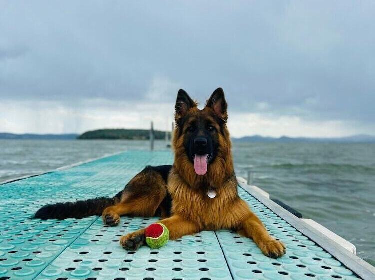 Отель Camping Village Punta Navaccia