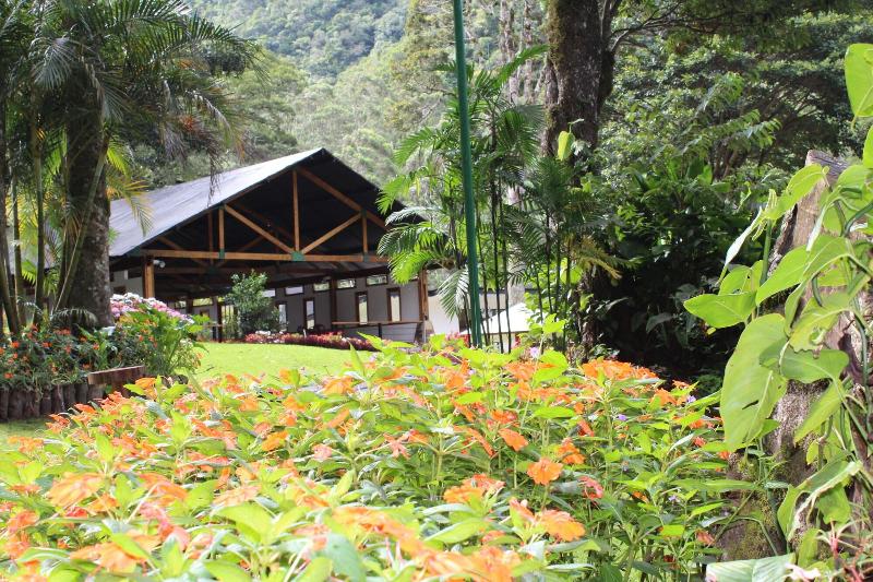 Отель Casa Grande Bambito Resort