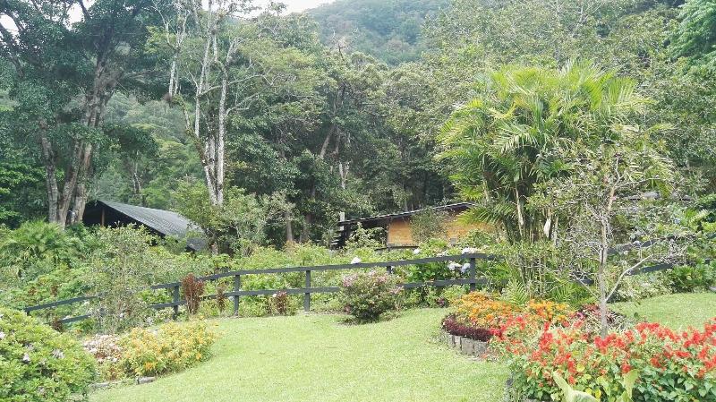 Отель Casa Grande Bambito Resort