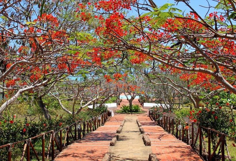 ホテル Club Dongwe