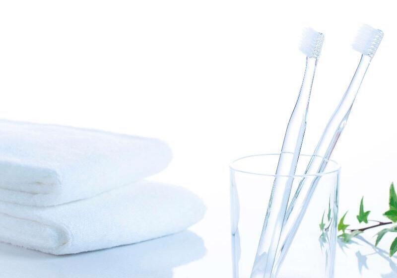 Comfort Hotel Kariya