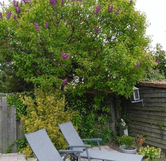 هتل De Wilde Kriek   Before De Karsteboom