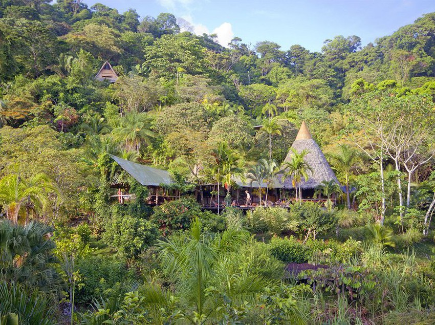 בית מלון כפרי Finca Exotica Eco Lodge