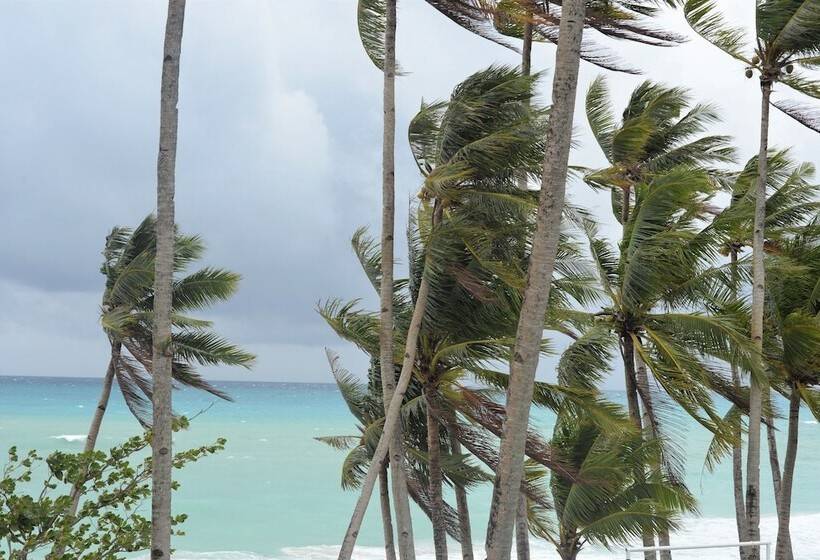 בית מלון כפרי Grand Blue Beach