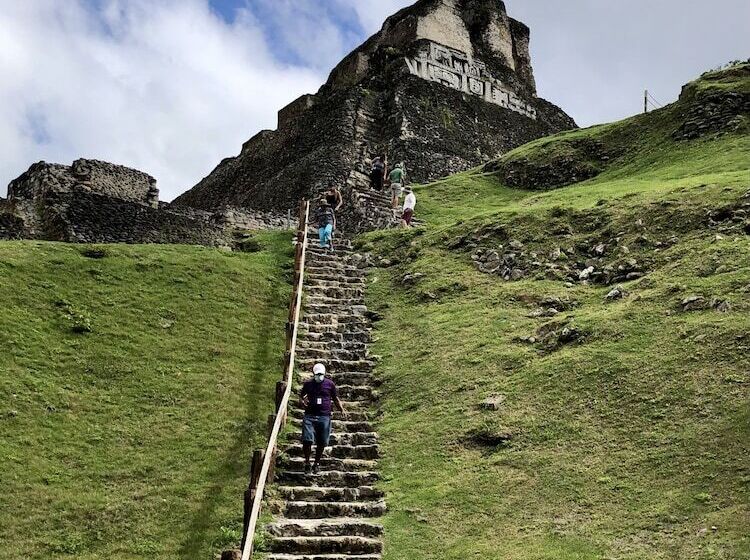 호텔 Gumbo Limbo Jungle Resort