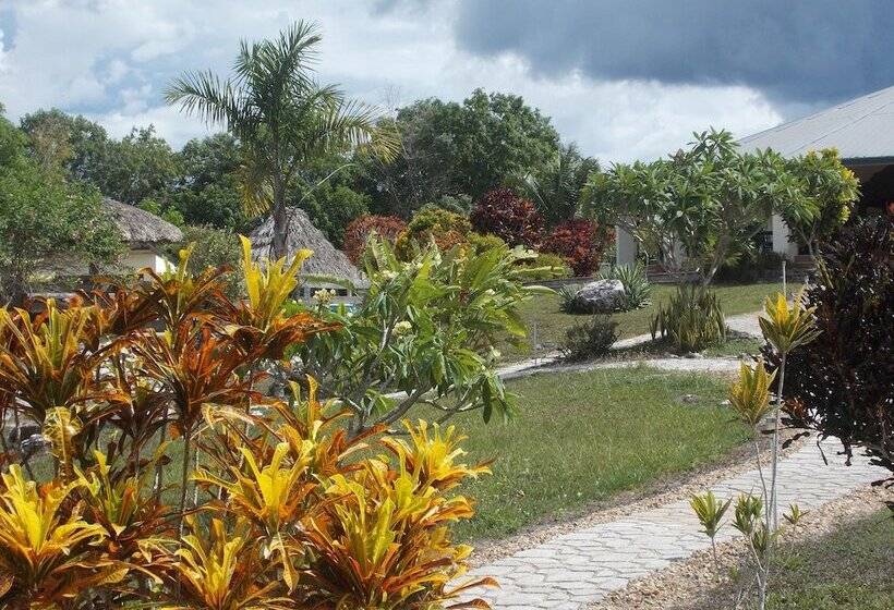 호텔 Gumbo Limbo Jungle Resort