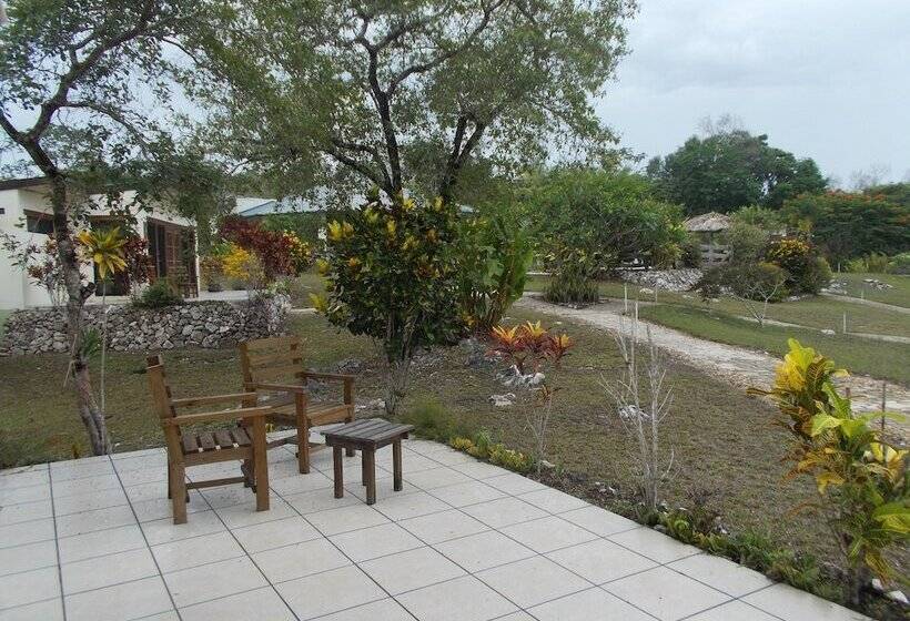 호텔 Gumbo Limbo Jungle Resort