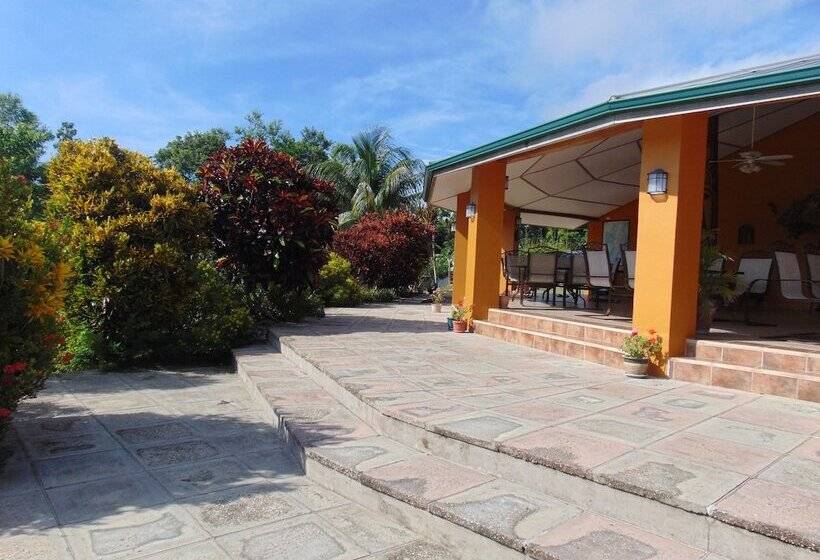 호텔 Gumbo Limbo Jungle Resort