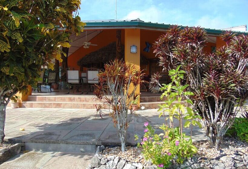 호텔 Gumbo Limbo Jungle Resort