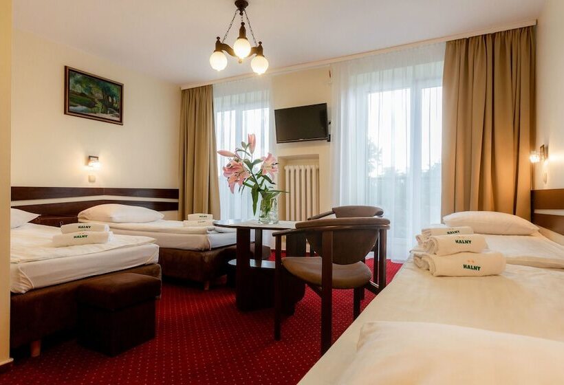 هتل Halny Pensjonat