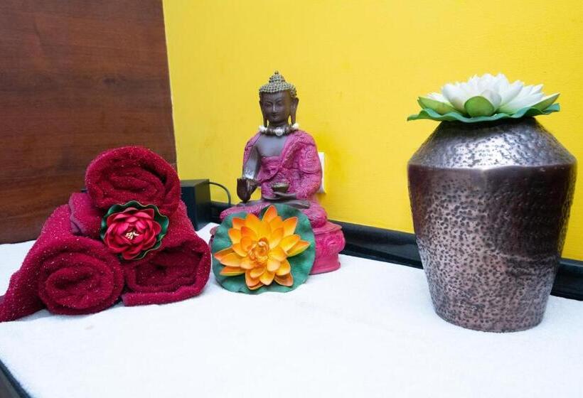 Отель High Point