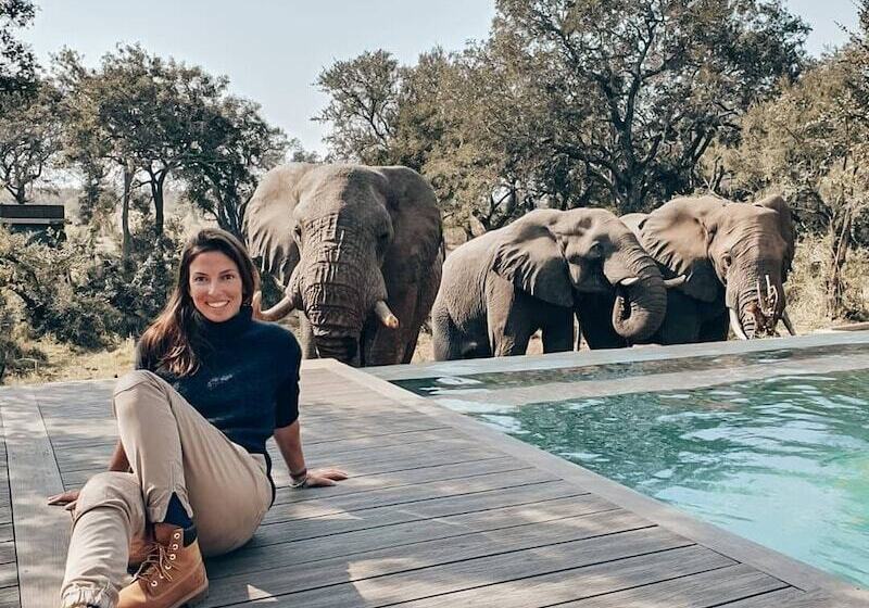 ホテル Honeyguide Tented Safari Camps   Mantobeni