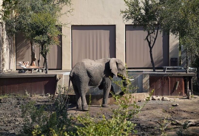 ホテル Honeyguide Tented Safari Camps   Mantobeni