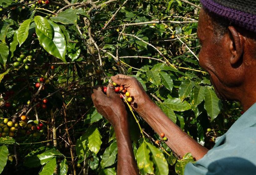 هتل Lake Duluti Lodge