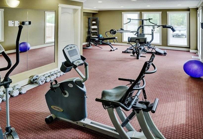 فندق Lakeview Inns & Suites  Edson Airport West