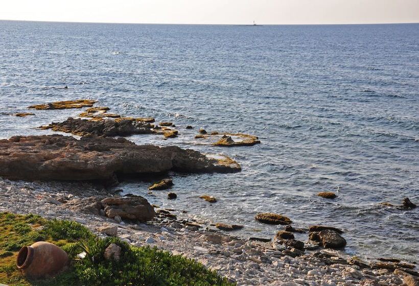 בית מלון כפרי L'approdo Di Angelino