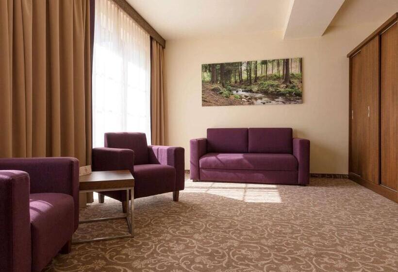 هتل Mercure Krynica Zdrój Resort&spa