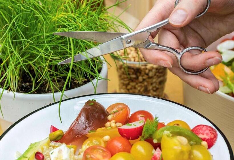 هتل Mercure Krynica Zdrój Resort&spa