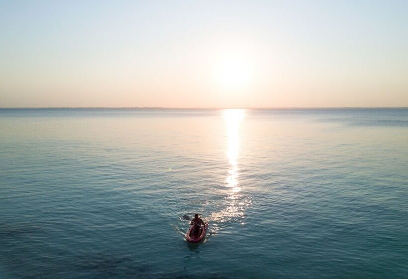 호텔 Michamvi Sunset Bay