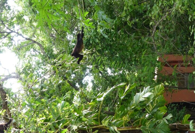 فندق Mundo Milo Eco Lodge