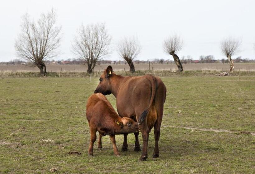 בית מלון כפרי Ängavallen