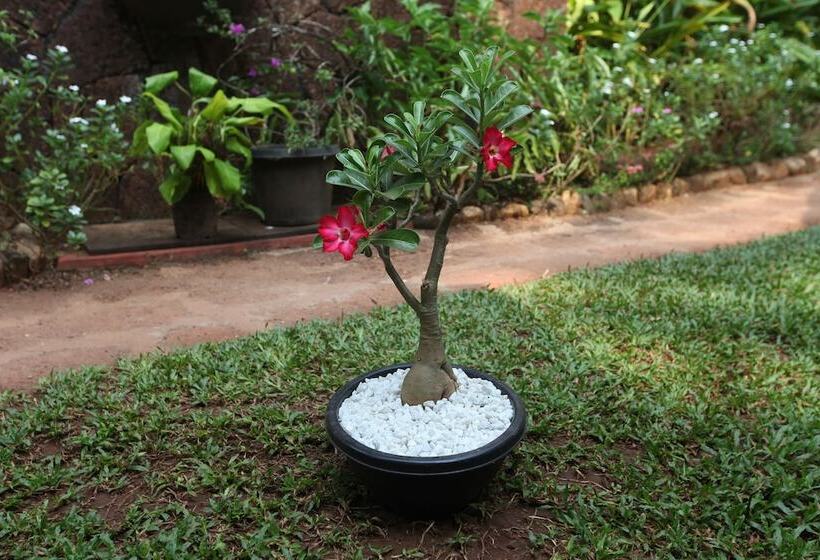 ホテル Presa Di Goa