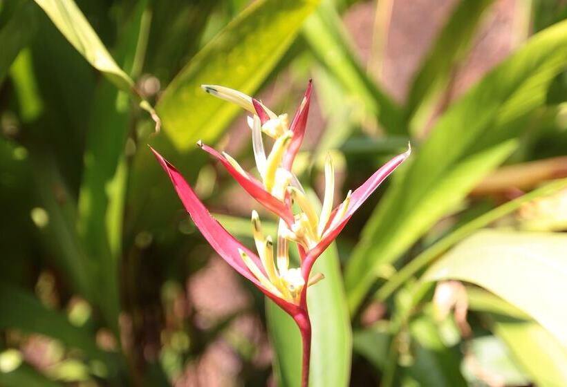 ホテル Presa Di Goa