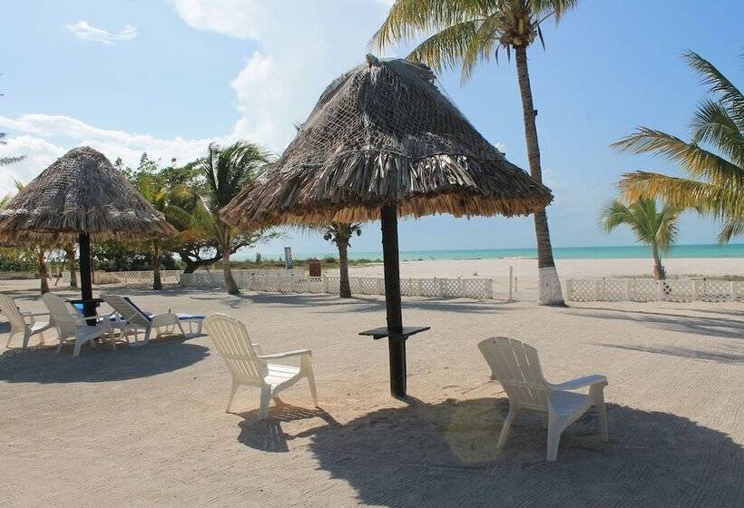 酒店 Puerto Holbox Beach Front