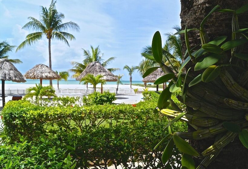 酒店 Puerto Holbox Beach Front